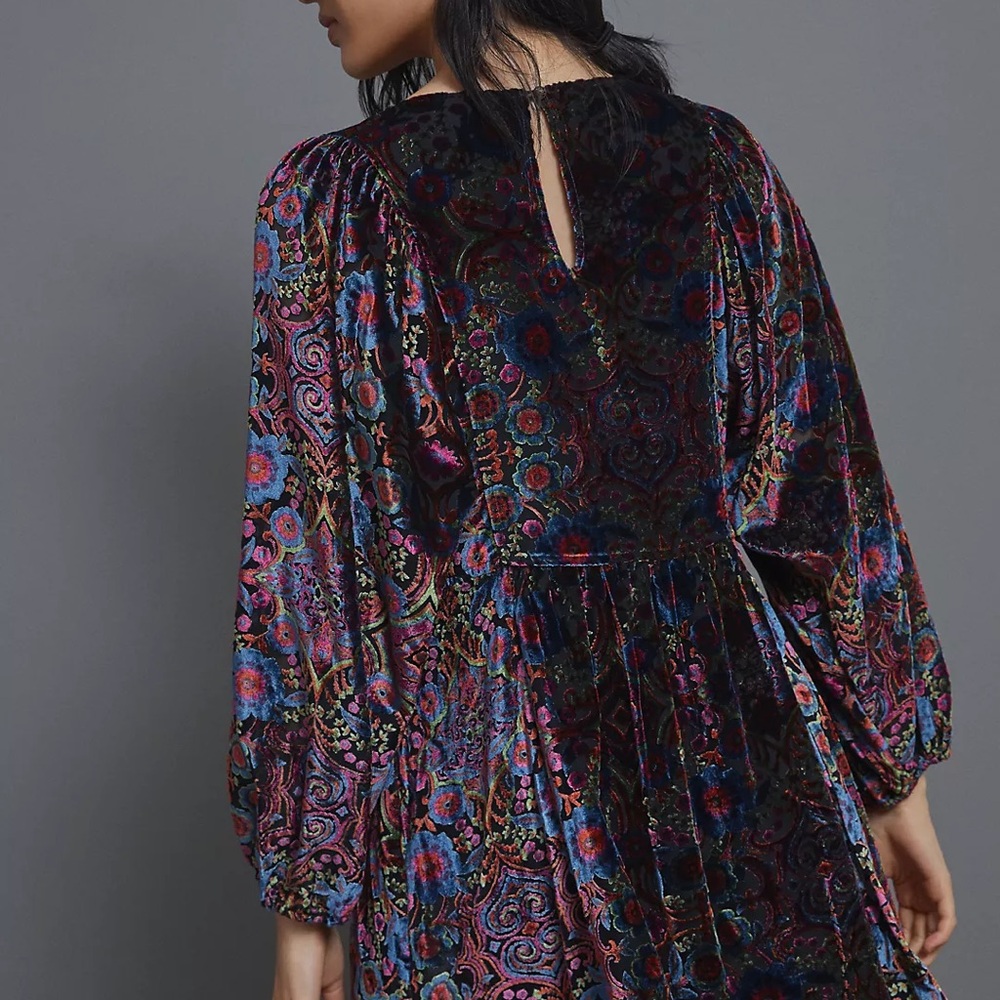 Mona Burnout Velvet Mini Dress - Picture 6 of 16
